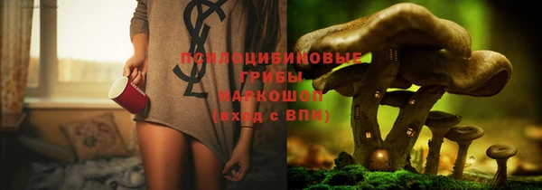 apvp Верхний Тагил