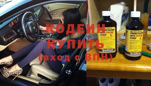 молекула духа Вяземский