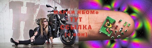 молекула духа Вяземский
